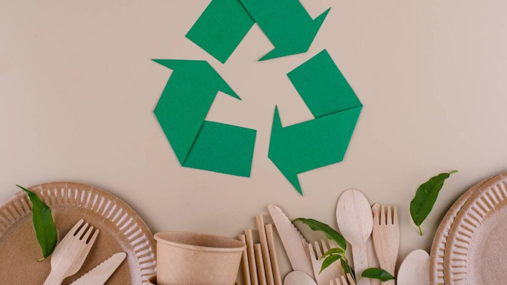 Eco-Friendly Products: A Guide to Sustainable Consumer Choices