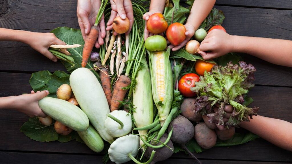 Sustainable Eating: Embracing a Diet That's Kind to Our Planet
