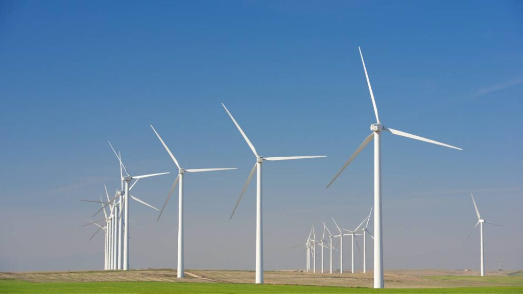 Harnessing the Wind: The Rise of Wind Energy as a Global Power Source.