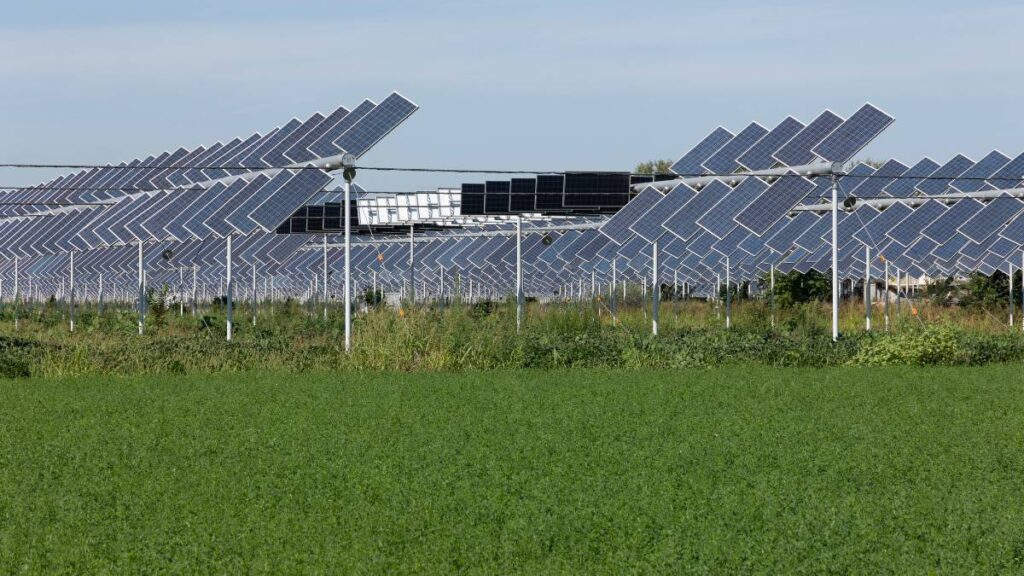 Agrivoltaics: Combining Agriculture with Solar Energy Production