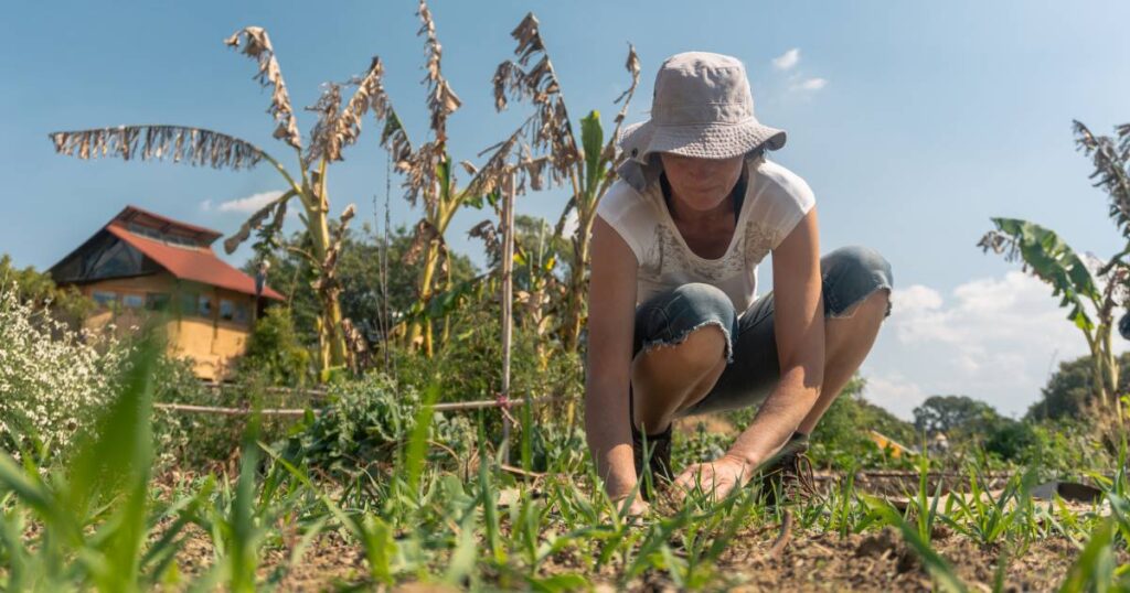 The Power of Permaculture: Principles for Sustainable Gardening and Farming